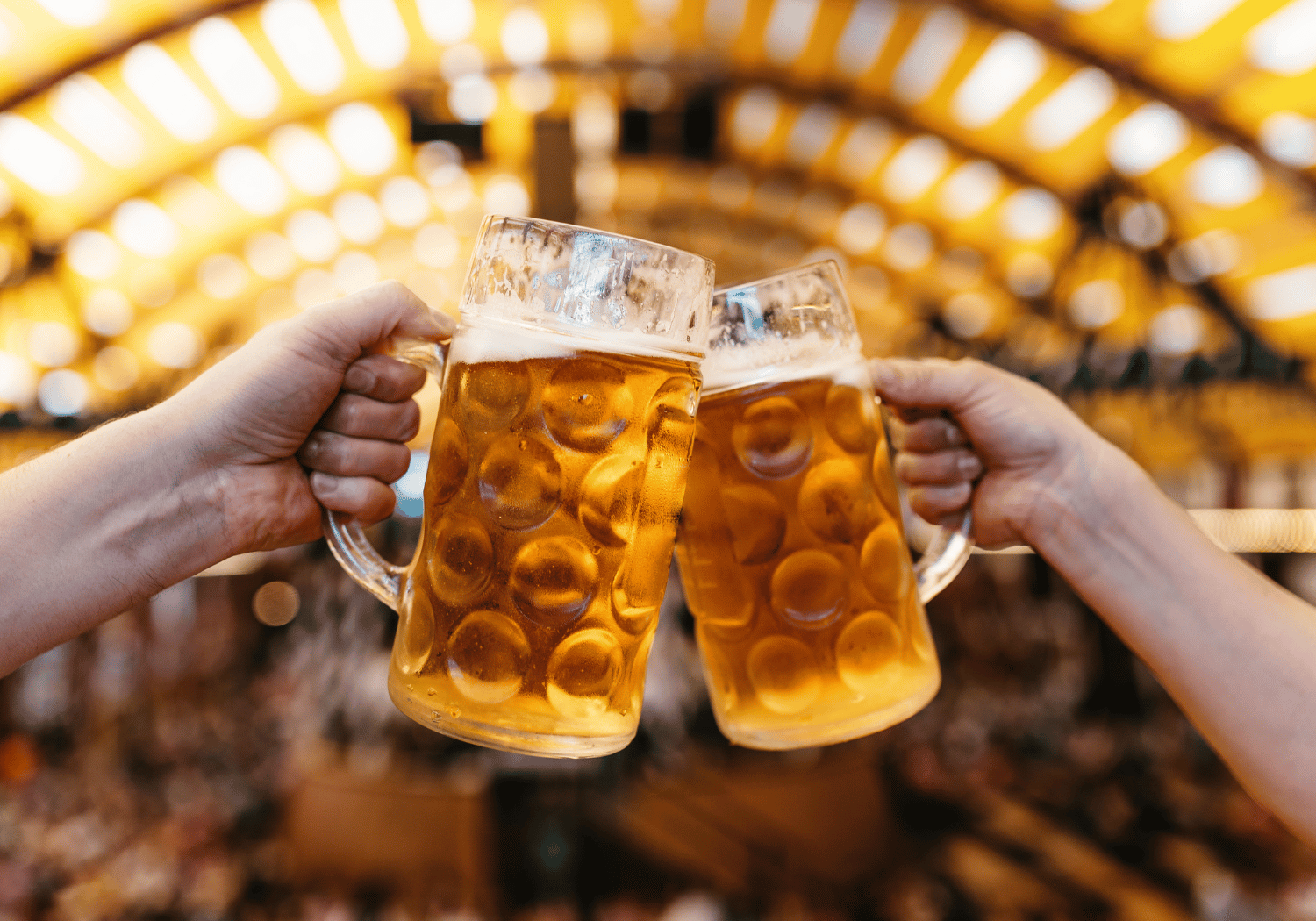 Two hands clinking large beer steins in a warm, festive beer hall.12